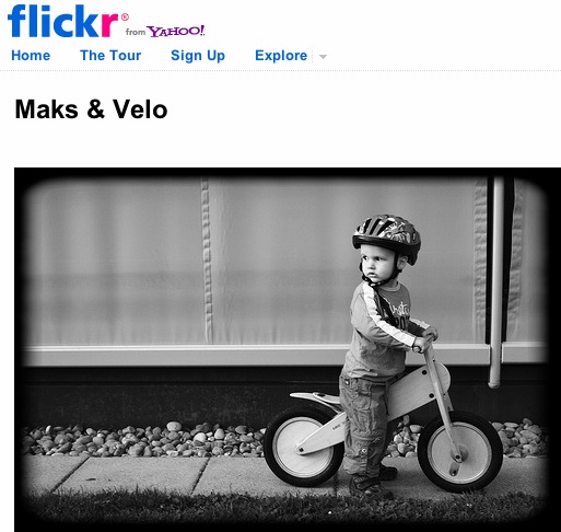 Maks & Velo uploaded into Flickr by czorcicho